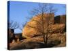 White Oak and boulders, Elephant Rocks State Park, Missouri, USA-Charles Gurche-Stretched Canvas