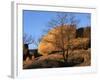 White Oak and boulders, Elephant Rocks State Park, Missouri, USA-Charles Gurche-Framed Photographic Print