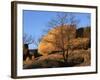 White Oak and boulders, Elephant Rocks State Park, Missouri, USA-Charles Gurche-Framed Photographic Print