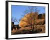 White Oak and boulders, Elephant Rocks State Park, Missouri, USA-Charles Gurche-Framed Photographic Print