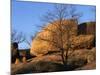White Oak and boulders, Elephant Rocks State Park, Missouri, USA-Charles Gurche-Mounted Photographic Print