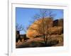 White Oak and boulders, Elephant Rocks State Park, Missouri, USA-Charles Gurche-Framed Photographic Print