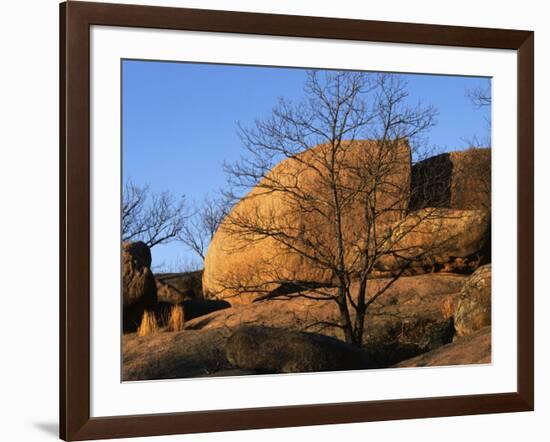 White Oak and boulders, Elephant Rocks State Park, Missouri, USA-Charles Gurche-Framed Photographic Print