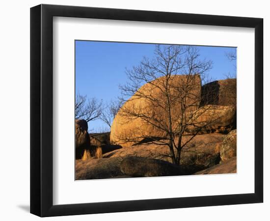 White Oak and boulders, Elephant Rocks State Park, Missouri, USA-Charles Gurche-Framed Photographic Print