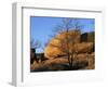 White Oak and boulders, Elephant Rocks State Park, Missouri, USA-Charles Gurche-Framed Photographic Print