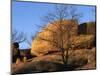 White Oak and boulders, Elephant Rocks State Park, Missouri, USA-Charles Gurche-Mounted Photographic Print