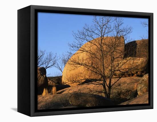 White Oak and boulders, Elephant Rocks State Park, Missouri, USA-Charles Gurche-Framed Stretched Canvas