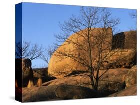 White Oak and boulders, Elephant Rocks State Park, Missouri, USA-Charles Gurche-Stretched Canvas