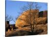 White Oak and boulders, Elephant Rocks State Park, Missouri, USA-Charles Gurche-Stretched Canvas