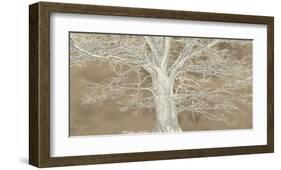 White Oak-Alessio Aprile-Framed Art Print