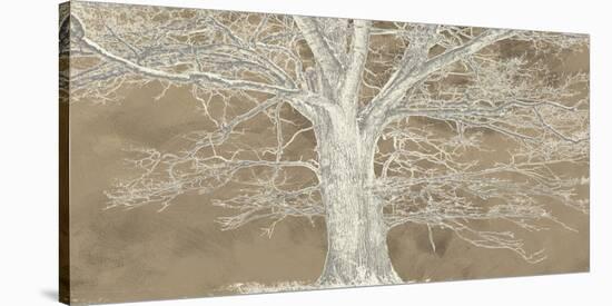 White Oak-Alessio Aprile-Stretched Canvas