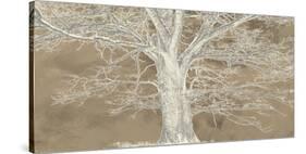 White Oak-Alessio Aprile-Stretched Canvas
