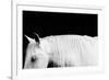 White on Black I-Samantha Carter-Framed Art Print