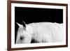 White on Black I-Samantha Carter-Framed Art Print