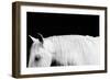 White on Black I-Samantha Carter-Framed Art Print