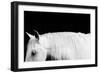 White on Black I-Samantha Carter-Framed Art Print