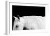 White on Black I-Samantha Carter-Framed Art Print