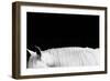 White on Black II-Samantha Carter-Framed Art Print