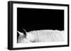 White on Black II-Samantha Carter-Framed Art Print