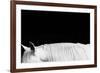 White on Black II-Samantha Carter-Framed Art Print