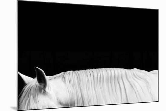 White on Black II-Samantha Carter-Mounted Art Print