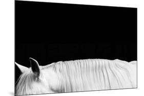 White on Black II-Samantha Carter-Mounted Art Print