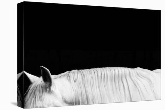 White on Black II-Samantha Carter-Stretched Canvas