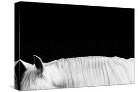 White on Black II-Samantha Carter-Stretched Canvas