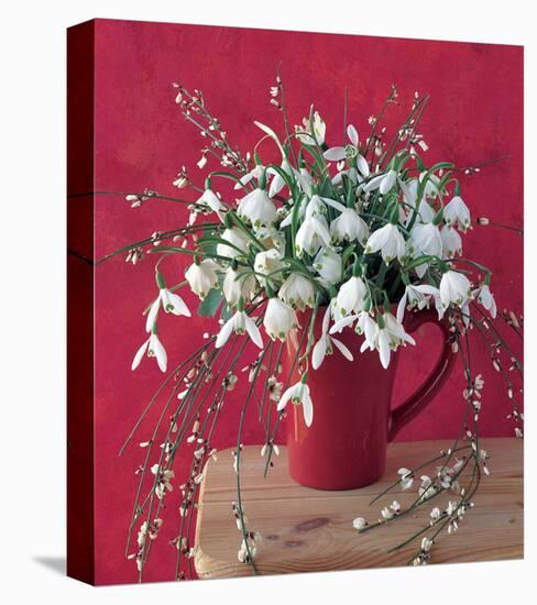 White on Red-null-Stretched Canvas