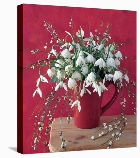 White on Red-null-Stretched Canvas