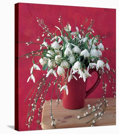 White on Red-null-Stretched Canvas