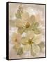 White on White Floral I-Silvia Vassileva-Framed Stretched Canvas