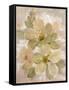 White on White Floral I-Silvia Vassileva-Framed Stretched Canvas