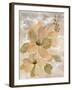 White on White Floral II-Silvia Vassileva-Framed Art Print