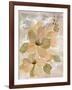 White on White Floral II-Silvia Vassileva-Framed Art Print