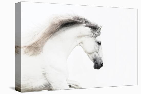 White on White-Melanie Snowhite-Stretched Canvas