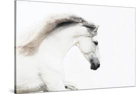 White on White-Melanie Snowhite-Stretched Canvas