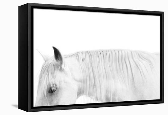 White on White-Samantha Carter-Framed Stretched Canvas