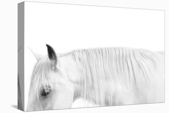 White on White-Samantha Carter-Stretched Canvas