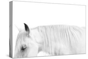 White on White-Samantha Carter-Stretched Canvas