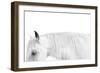 White on White-Samantha Carter-Framed Art Print