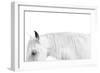 White on White-Samantha Carter-Framed Art Print
