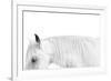 White on White-Samantha Carter-Framed Art Print