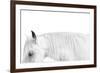 White on White-Samantha Carter-Framed Art Print