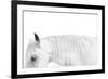 White on White-Samantha Carter-Framed Art Print