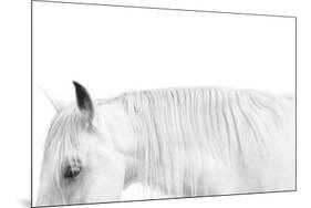 White on White-Samantha Carter-Mounted Art Print