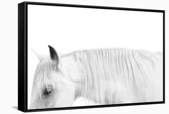 White on White-Samantha Carter-Framed Stretched Canvas