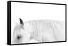 White on White-Samantha Carter-Framed Stretched Canvas