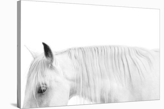 White on White-Samantha Carter-Stretched Canvas