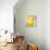White on Yellow-Roderick E. Stevens-Giclee Print displayed on a wall